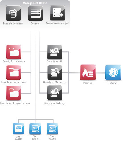 Management Server