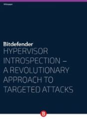 Hypervisor Introspection - A Revolutionary Approach to Targeted Attacks