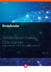 Virtualization makes CIOs role key