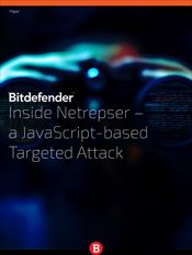 Inside Netrepser – a JavaScript-based Targeted Attack