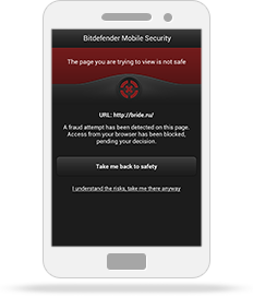 Web Security