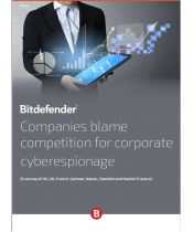 Companies blame competition for corporate cyberespionage
