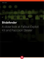 A close look at Fallout Exploit Kit and Raccoon Stealer
