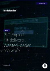 RIG Exploit Kit delivers WastedLoader malware
