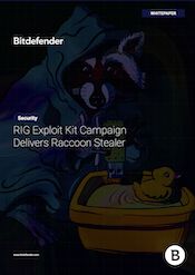RIG Exploit Kit Campaign Delivers Raccoon Stealer