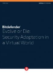 Evolve or Die: Security Adaptation in a Virtual World