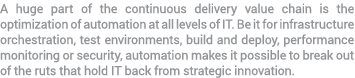 A huge part of the continuous delivery value chain is the optimization of automation at all levels of IT. Be it for i...