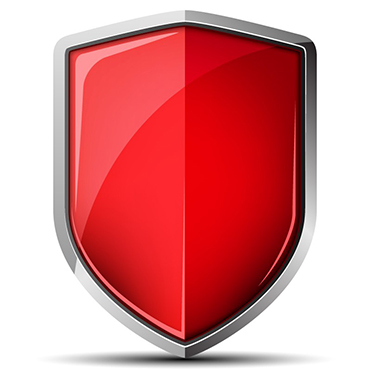 Cybersecurity Maximum Protection shield